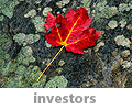 investors