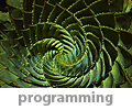 programming services